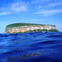 Darwin Island 6.JPG